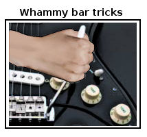 guitar whammy bar tricks