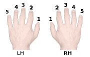 piano hands finger numbers